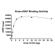 Kras G12A–cRAF Binding Assay Kit
